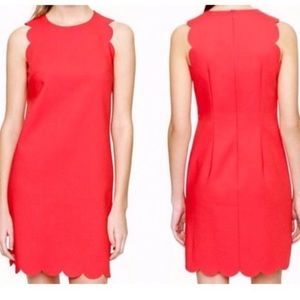J. Crew Scalloped Shift Dress